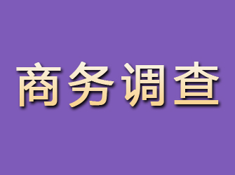 穆棱商务调查